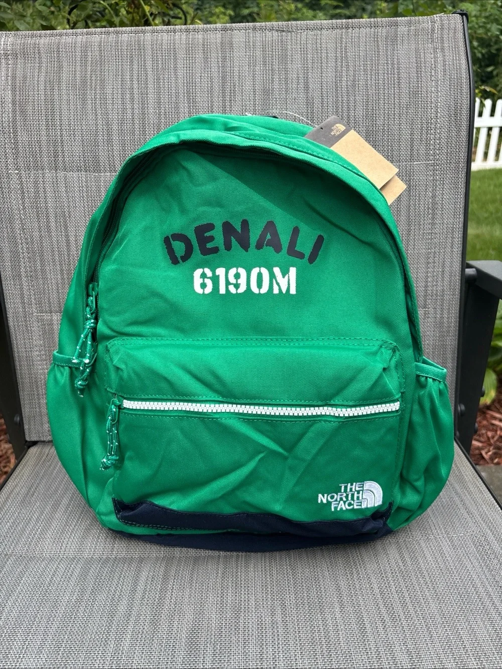 The North Face Kids' Denali Green Backpack with Pencil Case NWT